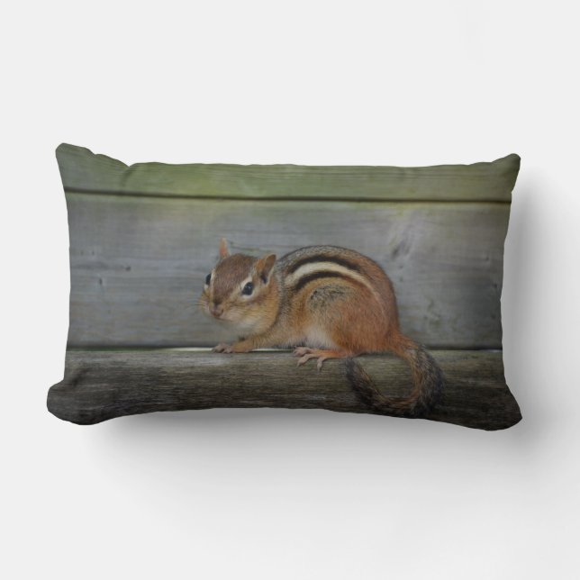 Coussin Rectangle chipmunk (Recto)