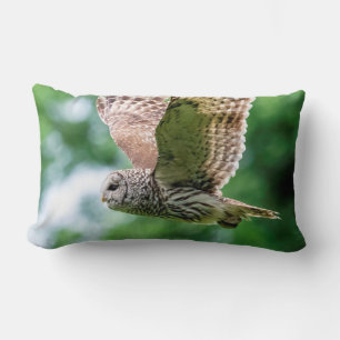 Coussin Rectangle Chouette barrée en vol