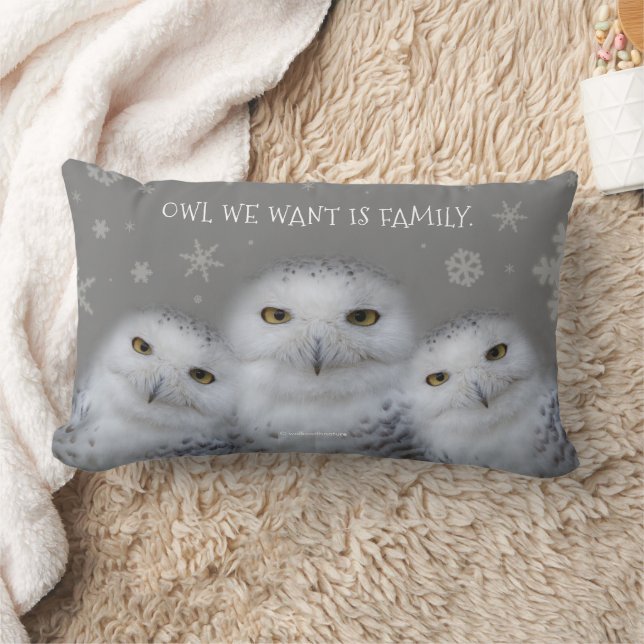 Coussin Rectangle Chouette drôle que nous voulons est Chouette de ne (Couverture)