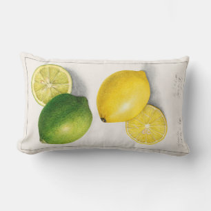 Coussin Rectangle Citrus vintage