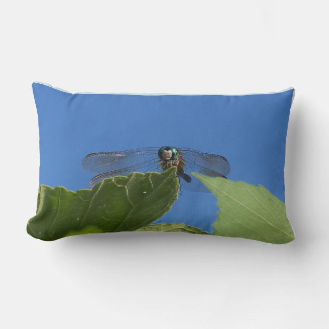 Coussin Rectangle Closeuse d'une libellule contre un ciel bleu vif (Recto)