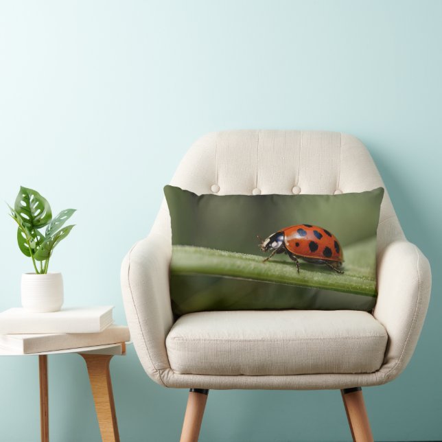 Coussin Rectangle Coccinelle Insecte (Chaise)