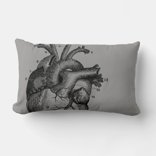 Coussin Rectangle Coeur vintage - anatomie (Recto)