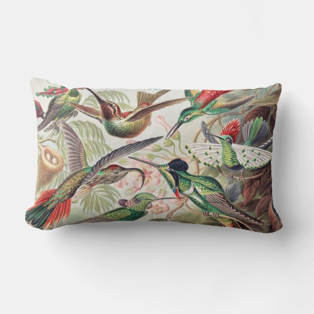 Coussin Rectangle Colibri, Trochilidae Kolibris par Ernst Haeckel (Recto)