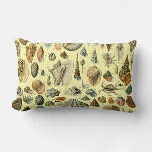 Coussin Rectangle Coquillages de coquillages Mollusk Clam Élégant Ar