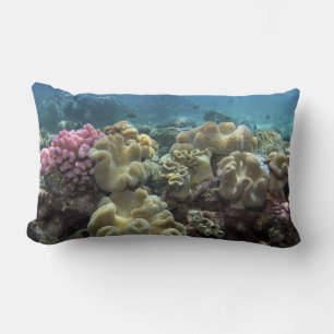 Coussin Rectangle Corail, récif d'Agincourt, Grande barrière de cora