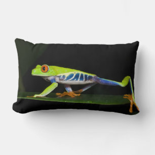 Coussin Rectangle Costa Rica, Grenouille aux yeux rouges (Agalychnis