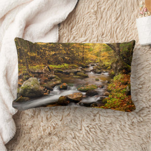 Coussin Rectangle Couleur d'automne Jefferson Brook Montagnes blan