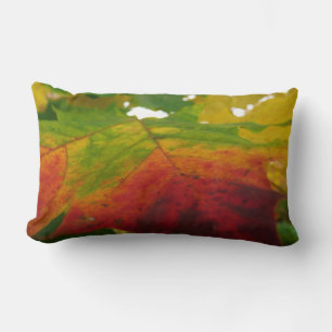 Coussin Rectangle Couleurs de la feuille d'érable Automne Photograph