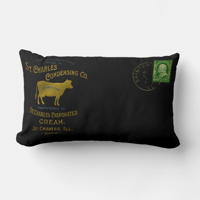 Coussin Rectangle CRÈME DE LAIT DE VACHE LAITIÈRE St Charles Illinoi (Recto)