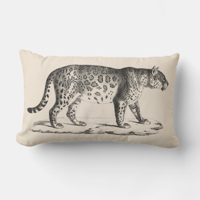 Coussin Rectangle Croquis Brodtmann Leopard (Recto)