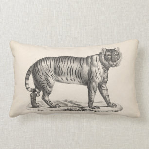Coussin Rectangle Croquis Brodtmann Tiger