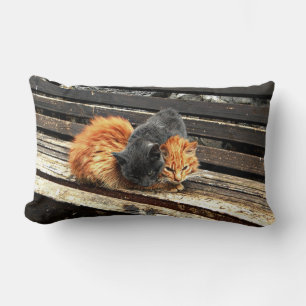 Coussin Rectangle Cuisses Catnap