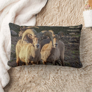 Coussin Rectangle Curieux Bighorn Mouton Ram Et Ewes Du Désert