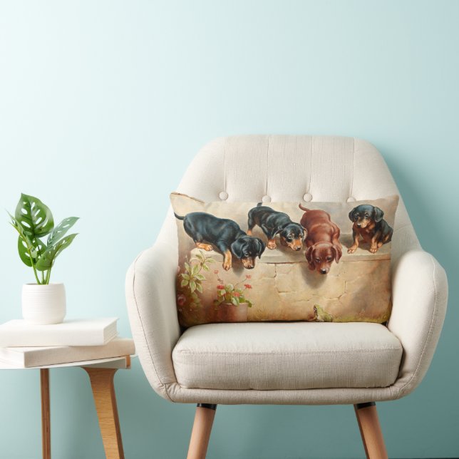 Coussin Rectangle Curieux Chiots Dachshund et une grenouille (Chaise)