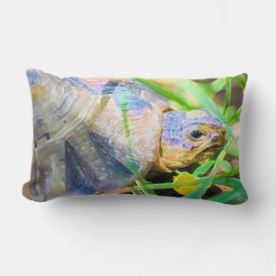 Coussin Rectangle Cute Angulate Tortoise Afrique du Sud Détails