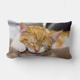 Coussin Rectangle Cute Kitten
