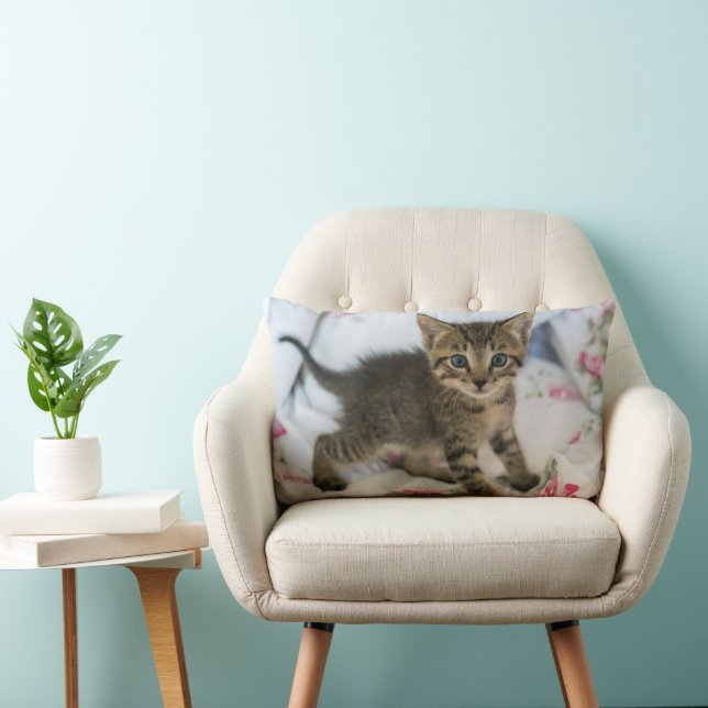 Coussin Rectangle Cute Tabby Kitten À L'Air Surpris (Chaise)