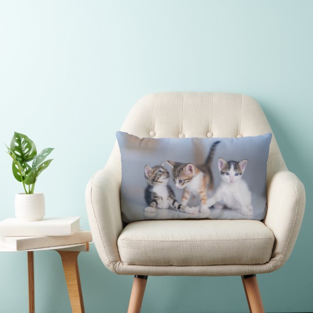 Coussin Rectangle Cutest Baby Animals | 3 Tabby Kittens (Chaise)