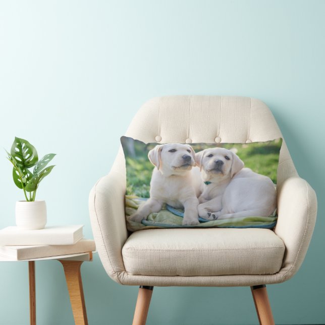 Coussin Rectangle Cutest Baby Animals | Yellow Labrador Retrievers (Chaise)