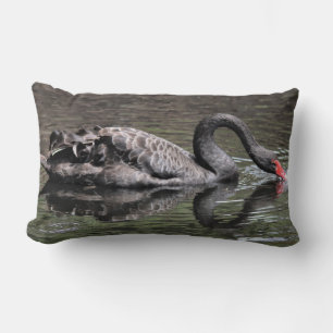 Coussin Rectangle Cygne noir