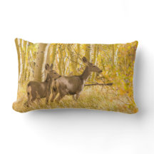 Daine et faon de cerfs communs de mule dans le pré