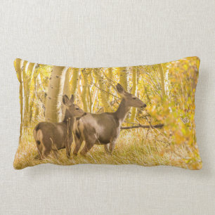 Coussin Rectangle Daine et faon de cerfs communs de mule dans le pré