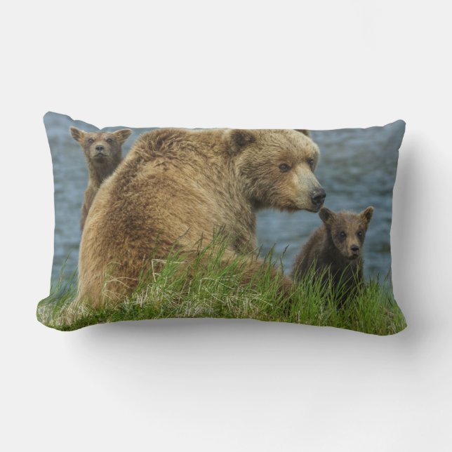 Coussin Rectangle Deux cubes d'ours Brown avec Mère près de l'eau (Recto)