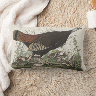 Coussin Rectangle Dindon sauvage femelle et jeunes - Gravure vintage