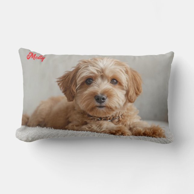 Coussin Rectangle Doodle classique personnalisé (Recto)