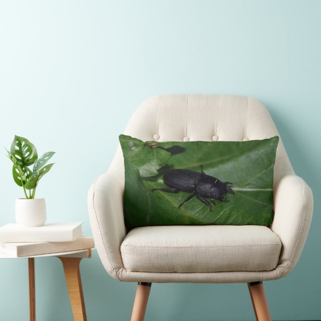 Coussin Rectangle Dorcus parallelipipedus, le moindre dendroctone du (Chaise)