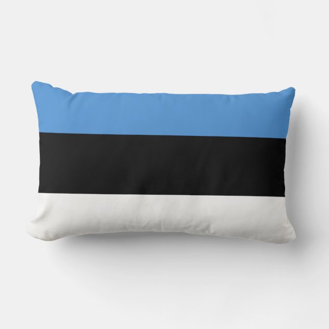 Coussin Rectangle Drapeau de l'Estonie (Recto)