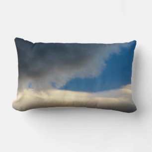COUSSIN RECTANGLE (DVD)