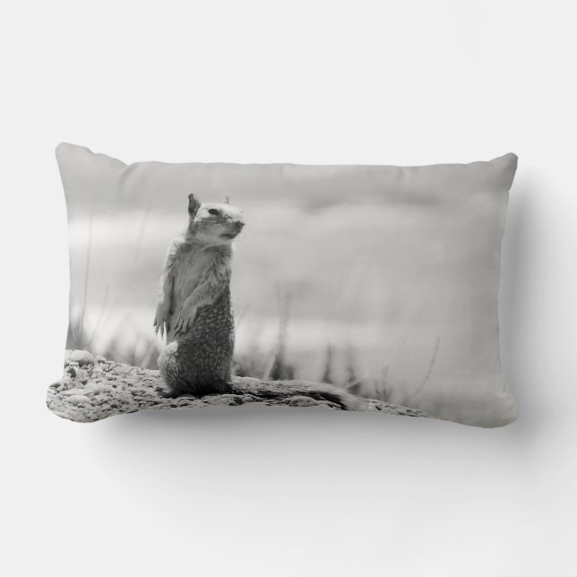 Coussin Rectangle Écureuil (Recto)