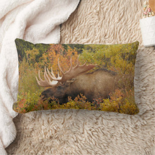 Coussin Rectangle Élan mâle Parc national de Denali, Alaska