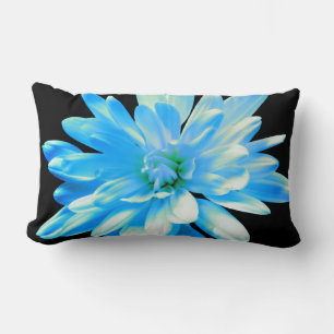 Coussin Rectangle Elégant bleu floral bleu marguerite bleu zinnia
