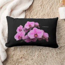 Élégant orchidées roses Phalaenopsis sur noir