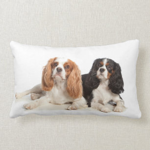 Coussin Rectangle Épagneul cavalier du Roi Charles