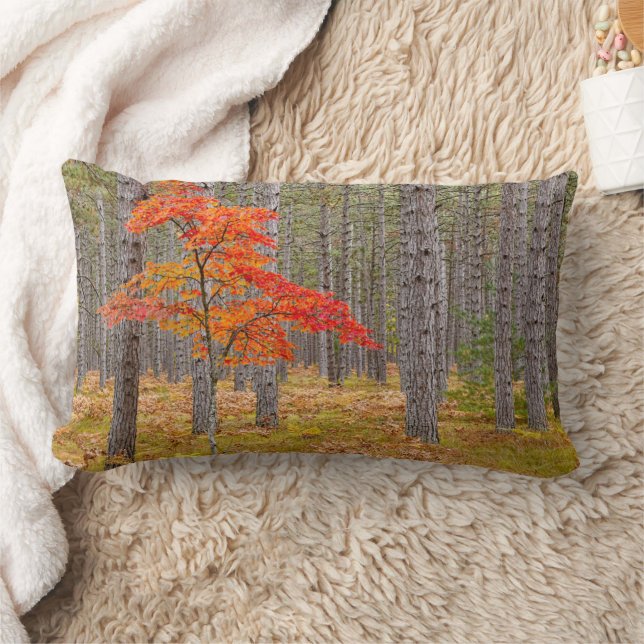 Coussin Rectangle Érable aux couleurs d'automne (Couverture)