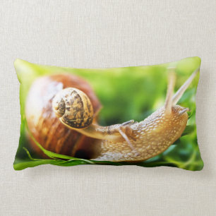 Coussin Rectangle Escargots