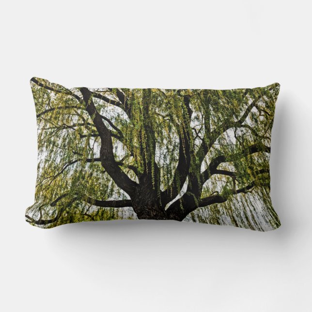 Coussin Rectangle espoir du printemps muet (Recto)