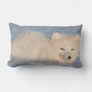 Coussin Rectangle États-Unis, Alaska, Fox
