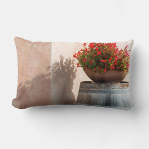 Coussin Rectangle Europe, Italie, Toscane. Pot de fleurs