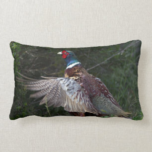 Coussin Rectangle Faisan étranglé d'anneau