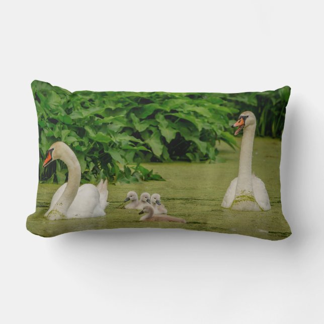 Coussin Rectangle Famille Swan (Recto)