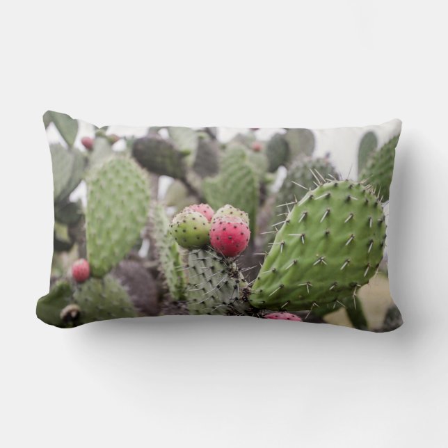 Coussin Rectangle Fermeture Des Cactus De Pires (Recto)