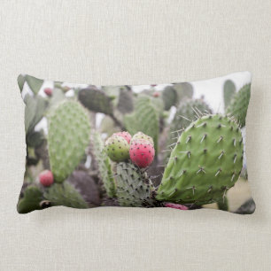 Coussin Rectangle Fermeture Des Cactus De Pires