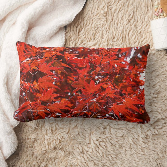 Coussin Rectangle Feuilles japonais de l'érable rouge (Couverture)