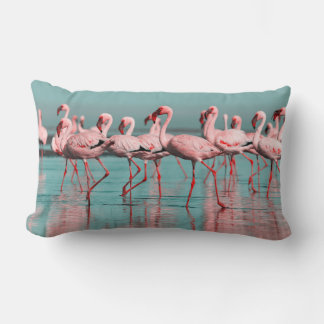 Coussin Rectangle Flamants africains sauvages