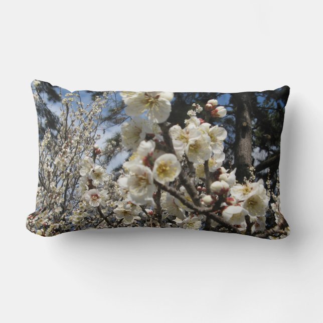 Coussin Rectangle Fleur de cerisier blanc / Sakura / ク(桜) (Recto)